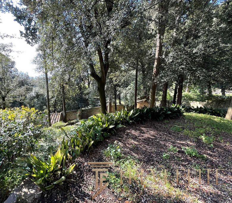 Уголок сада с зеленью и деревьями, экологически чистая площадка для отдыха, природная атмосфера, красивый зеленый пейзаж, под открытым небом.