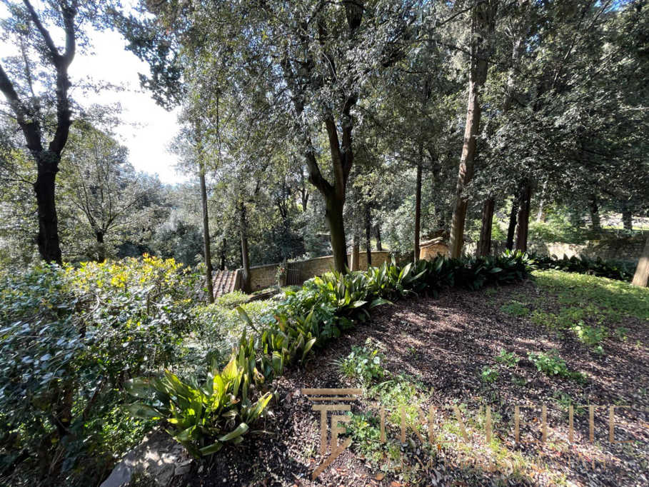 Уголок сада с зеленью и деревьями, экологически чистая площадка для отдыха, природная атмосфера, красивый зеленый пейзаж, под открытым небом.