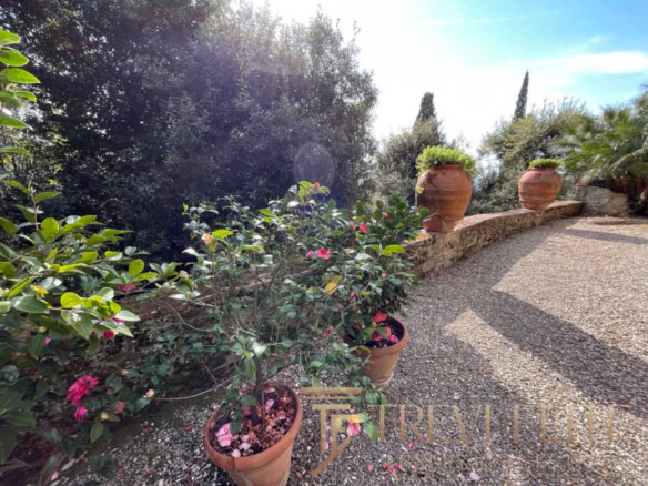 Ухоженная садовая зона с цветущими растениями в керамических горшках, мягкое природное освещение, уютный уединённый уголок на участке для отдыха и наслаждения природной красотой.