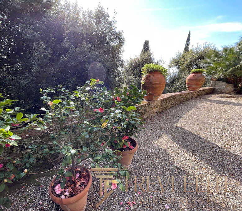 Ухоженная садовая зона с цветущими растениями в керамических горшках, мягкое природное освещение, уютный уединённый уголок на участке для отдыха и наслаждения природной красотой.