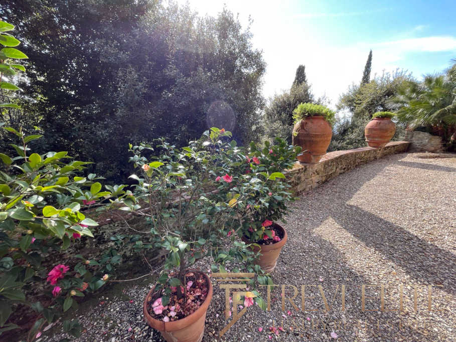 Ухоженная садовая зона с цветущими растениями в керамических горшках, мягкое природное освещение, уютный уединённый уголок на участке для отдыха и наслаждения природной красотой.