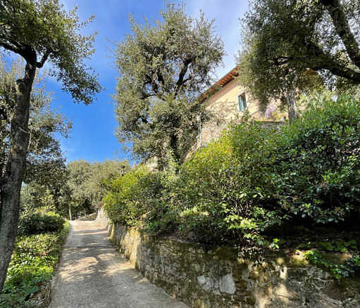 Улица с деревьями и каменной оградой в живописном саду, рядом с роскошным особняком в итальянском стиле, окруженным зеленью и природной красотой.