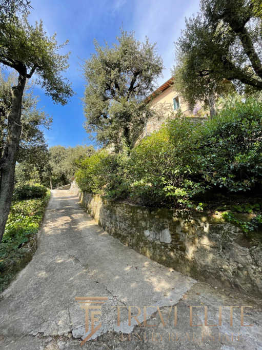 Улица с деревьями и каменной оградой в живописном саду, рядом с роскошным особняком в итальянском стиле, окруженным зеленью и природной красотой.