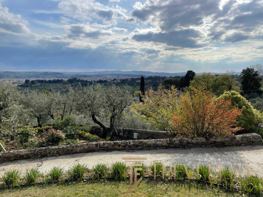 Уютный сад с деревьями и природным ландшафтом под облачным небом, создающий атмосферу спокойствия и красоты, идеально подходящий для эксклюзивных роскошных домов и вилл.