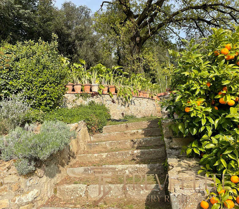 Уютная садовая зона с каменными ступеньками, окруженная цветущими деревьями и кустами, создающая атмосферу спокойствия и уединения в эксклюзивной недвижимости от Треви Элит.
