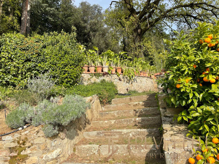 Уютная садовая зона с каменными ступеньками, окруженная цветущими деревьями и кустами, создающая атмосферу спокойствия и уединения в эксклюзивной недвижимости от Треви Элит.