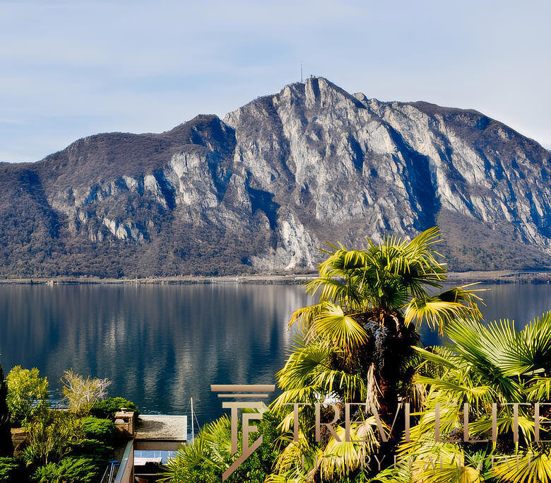 Удивительный пейзаж с горными вершинами, отражающимися в спокойных водах озера, и зеленью пальм на переднем плане, создающий атмосферу роскоши и природы.