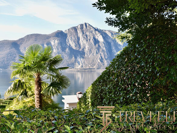 Экзотический ландшафт с пальмами и видом на горы и озеро в роскошных апартаментах Треви Элит.