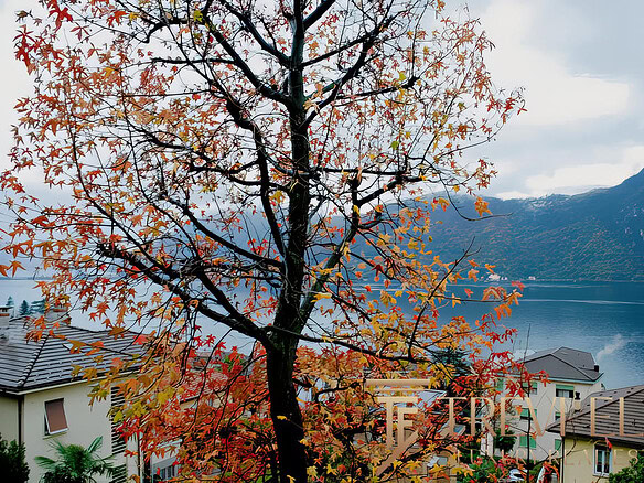 Восхитительный вид на озеро и горы, окружённые природой и уютными домами в стиле современной архитектуры, создает атмосферу спокойствия и уюта для комфортной жизни у воды.