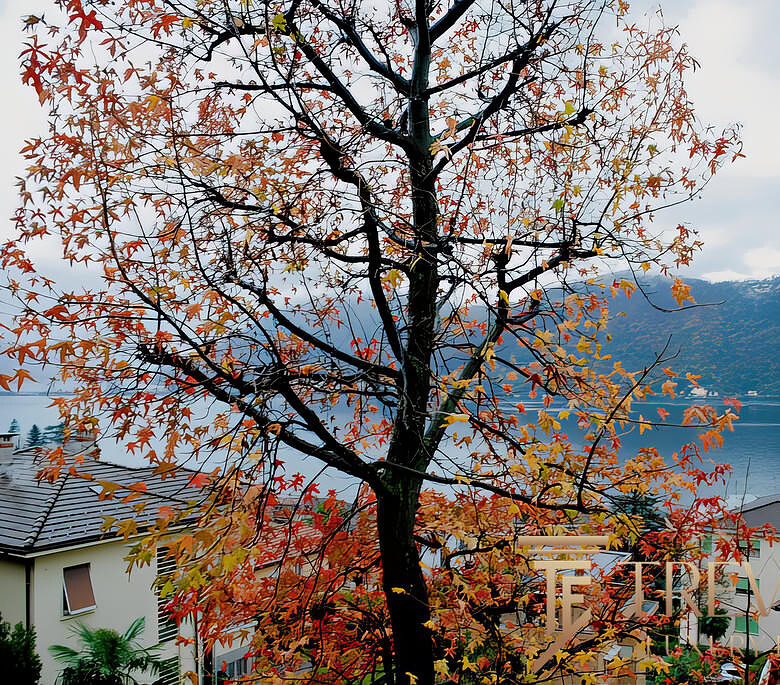 Восхитительный вид на озеро и горы, окружённые природой и уютными домами в стиле современной архитектуры, создает атмосферу спокойствия и уюта для комфортной жизни у воды.