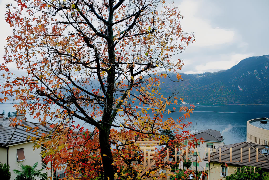 Восхитительный вид на озеро и горы, окружённые природой и уютными домами в стиле современной архитектуры, создает атмосферу спокойствия и уюта для комфортной жизни у воды.