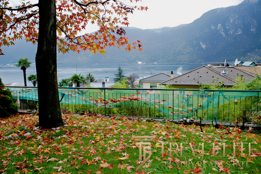 Уютный сад с опадающими осенними листьями, видом на озеро и горы, расположенный в владении недвижимости Треви Элит.