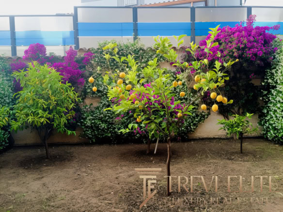 Яблоня с плодами на фоне цветущих декоративных растений и забора, часть ландшафтного дизайна частного дома.