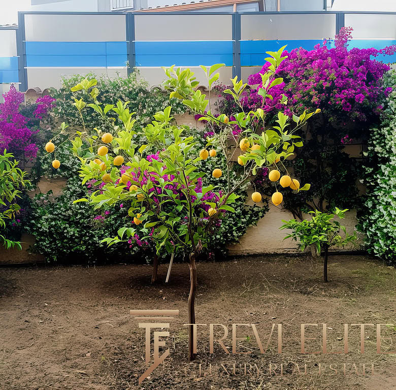 Яблоня с плодами на фоне цветущих декоративных растений и забора, часть ландшафтного дизайна частного дома.