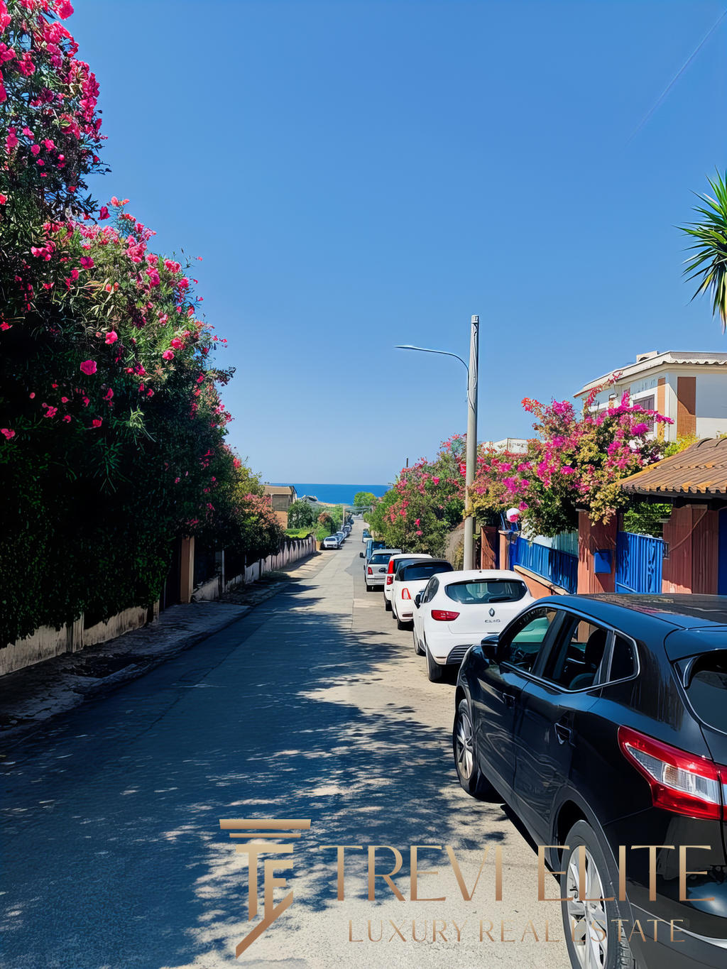 Булыжная улица с парками и цветущими деревьями рядом с морем, перспективы на побережье, автомобили на дороге, солнечный день, спокойная романтичная атмосфера.