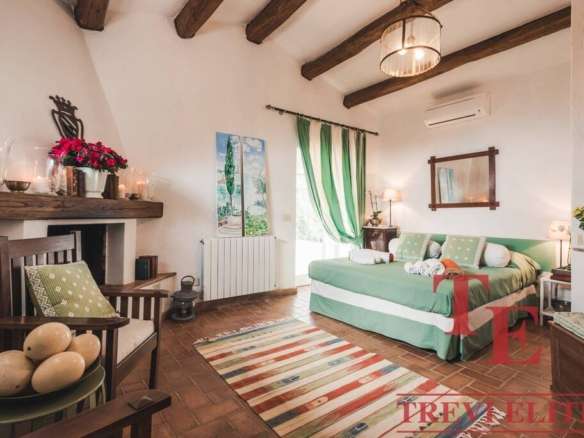 Элегантная гостиная с уютной атмосферой, деревянными потолочными балками, зеленым диваном и яркими аксессуарами, идеально подходит для роскошной жизни в лучших итальянских и мировых апартаментах.