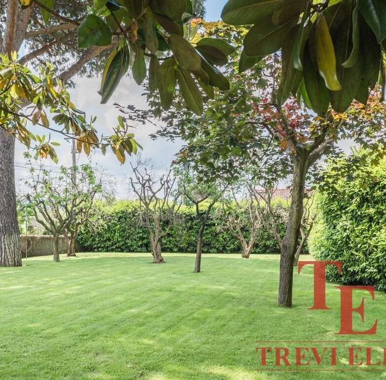 Зеленая газоновая территория с деревьями и кустами, ухоженный сад, спокойная и живописная природная обстановка.