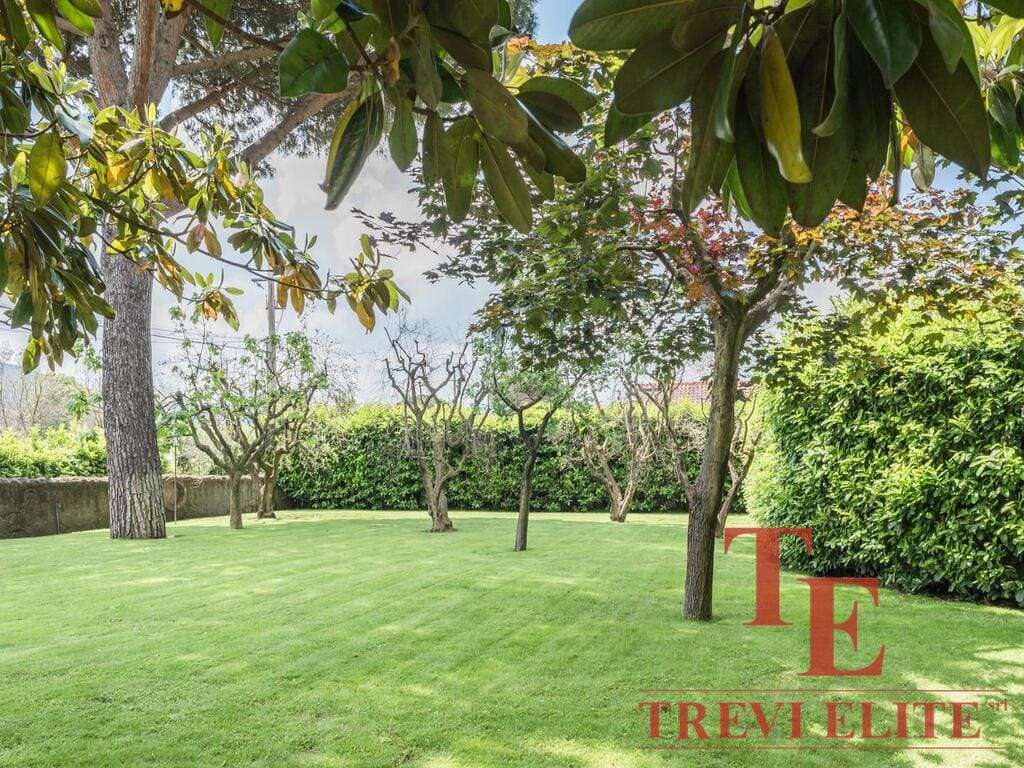 Зеленая газоновая территория с деревьями и кустами, ухоженный сад, спокойная и живописная природная обстановка.