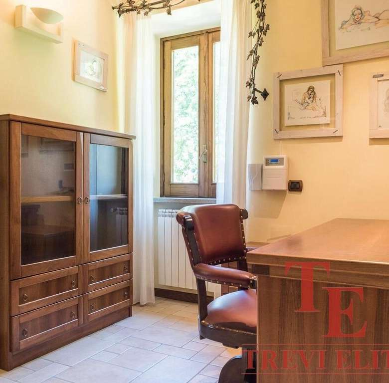 Элегантная мебель в уютном офисе с окнами, пропускающими естественный свет, стильный деревянный шкаф и классический офисный стул создают комфортную атмосферу для работы.