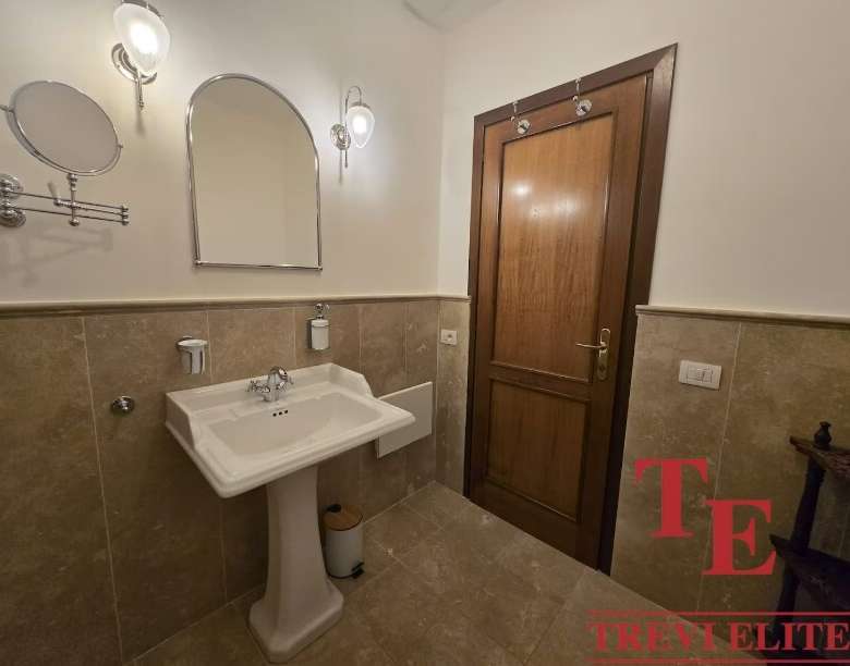 Элегантная ванная комната с классическим дизайном, просторным раковином и деревянной дверью в роскошной недвижимости высокого класса.