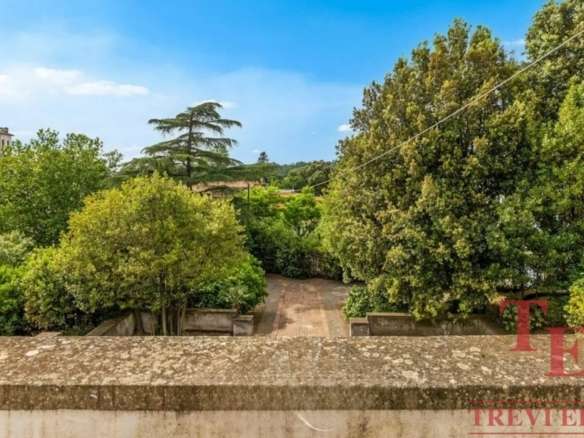 Зеленые деревья и сад на территории престижного итальянского элитного агентства недвижимости Треви Элит.