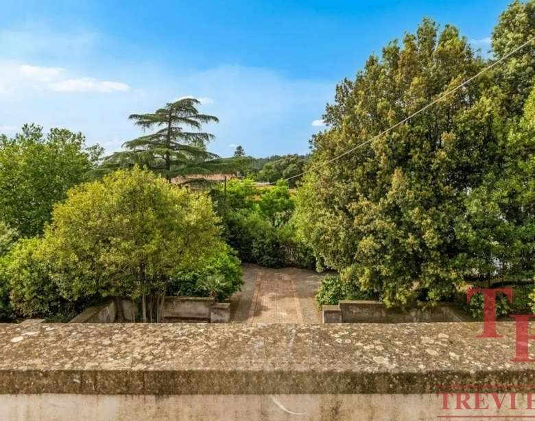 Зеленые деревья и сад на территории престижного итальянского элитного агентства недвижимости Треви Элит.
