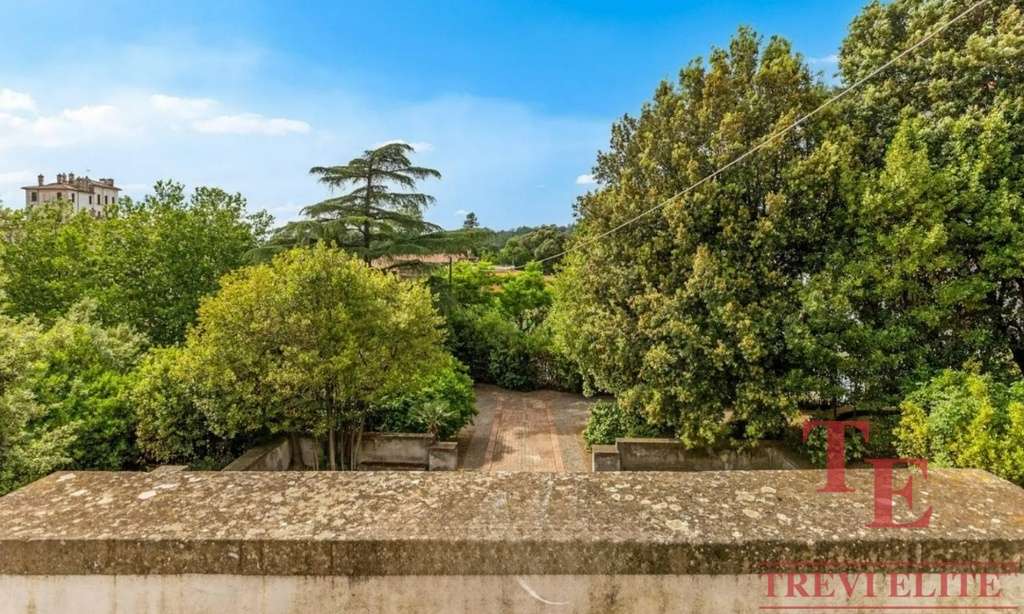 Зеленые деревья и сад на территории престижного итальянского элитного агентства недвижимости Треви Элит.