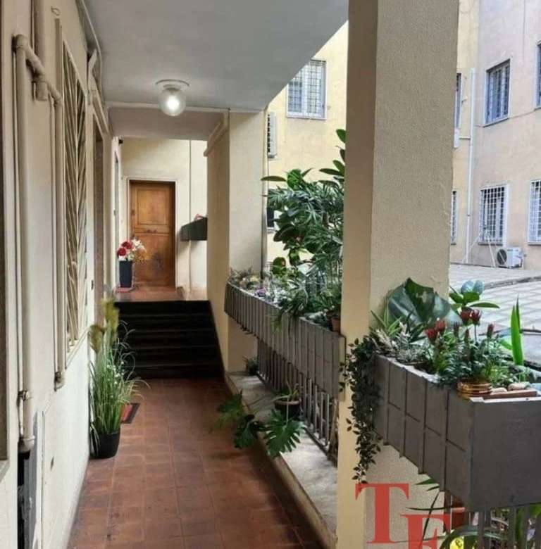 Элегантный коридор в жилом доме с зелеными декоративными растениями, просторными балконами и уютной атмосферой. Идеальное жилое пространство для ценителей комфорта и стиля.