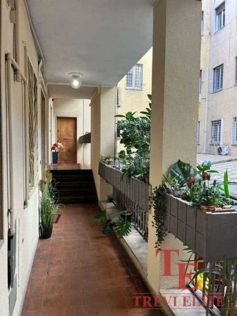 Элегантный коридор в жилом доме с зелеными декоративными растениями, просторными балконами и уютной атмосферой. Идеальное жилое пространство для ценителей комфорта и стиля.