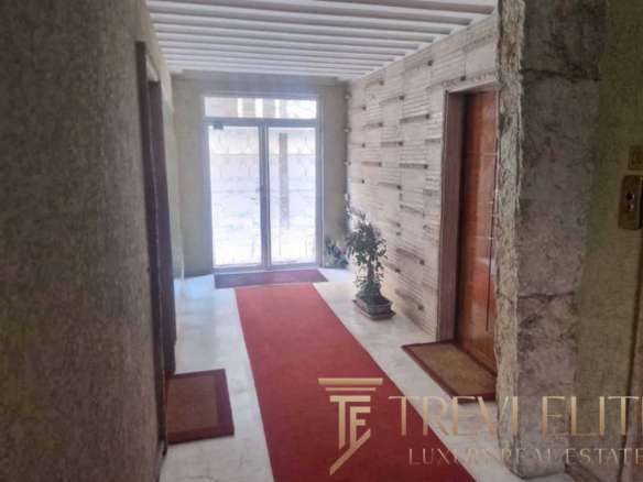 Современный интерьер коридора в элитной недвижимости, дизайнерские решения, натуральные материалы, светлые оттенки, уютная прихожая с растениями.