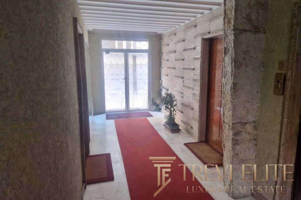 Современный интерьер коридора в элитной недвижимости, дизайнерские решения, натуральные материалы, светлые оттенки, уютная прихожая с растениями.