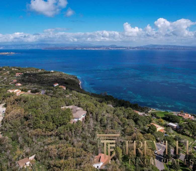 Вид на живописное побережье Средиземного моря с элитными виллами и зелеными насаждениями, предлагающий уникальное сочетание природы и роскошной недвижимости на берегу.