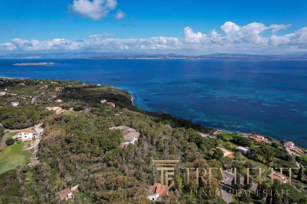 Вид на живописное побережье Средиземного моря с элитными виллами и зелеными насаждениями, предлагающий уникальное сочетание природы и роскошной недвижимости на берегу.