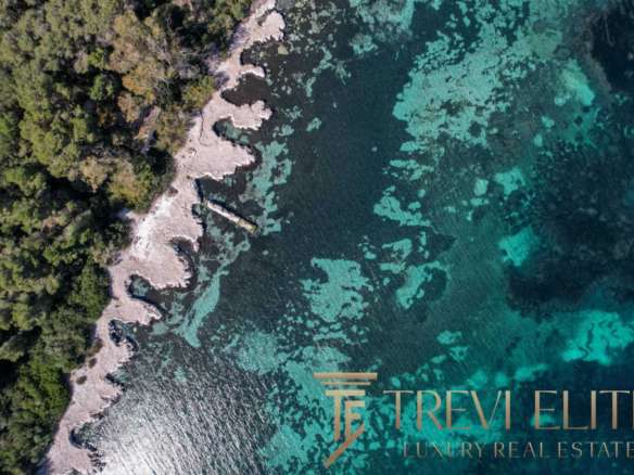 Невысокое aerial фото побережья с лесами и кристально чистой водой, показывающее роскошные виды для элитной недвижимости.