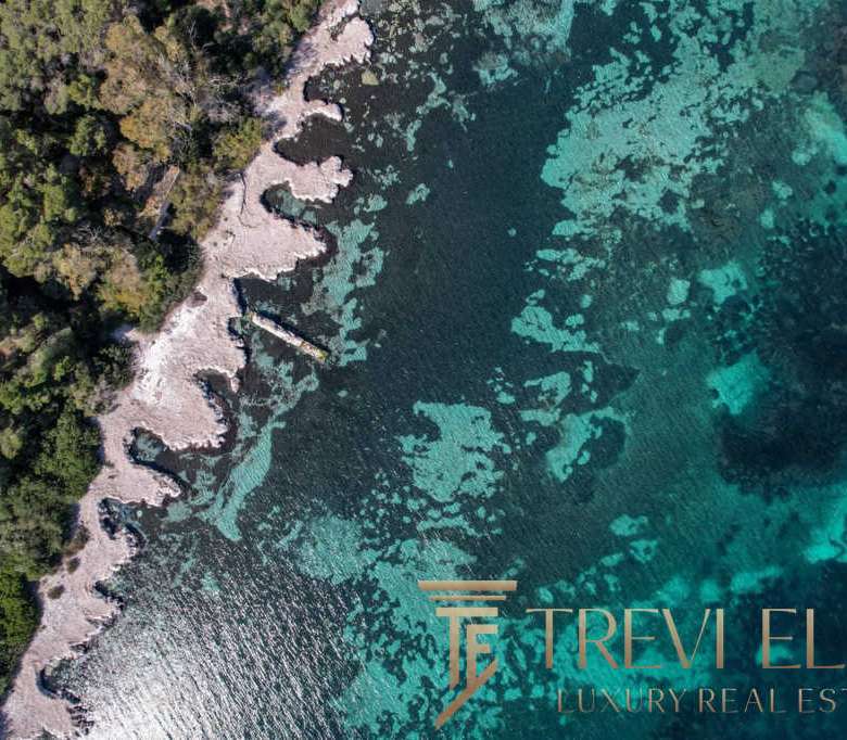 Невысокое aerial фото побережья с лесами и кристально чистой водой, показывающее роскошные виды для элитной недвижимости.