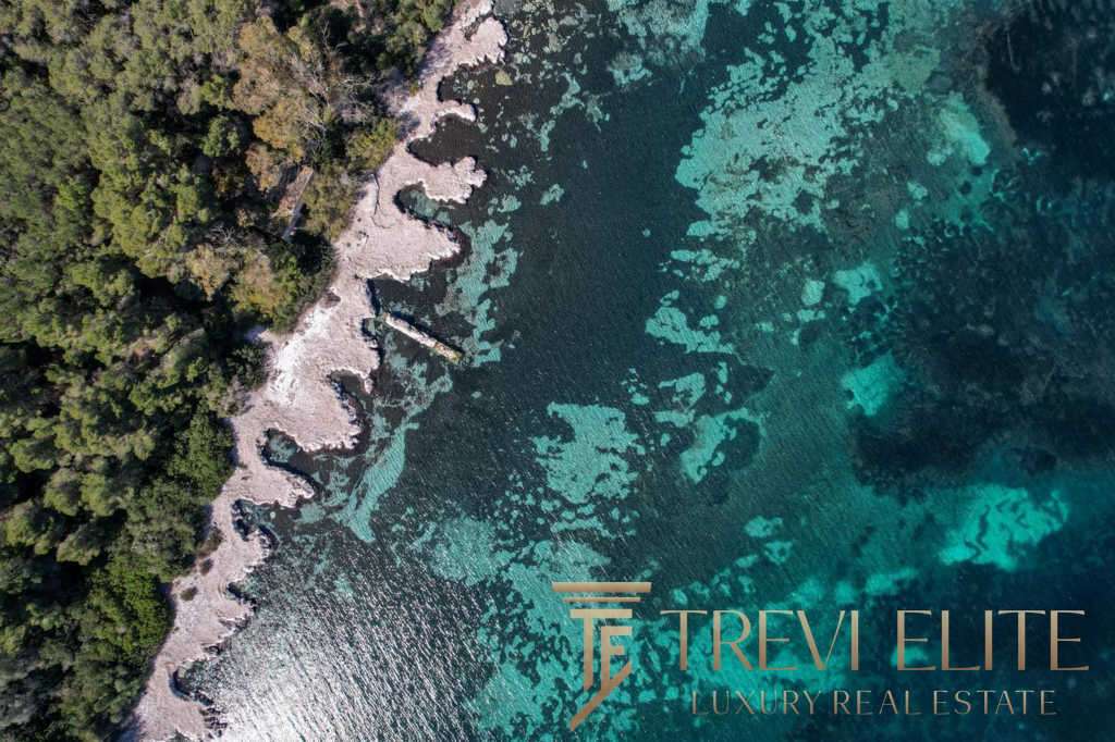 Невысокое aerial фото побережья с лесами и кристально чистой водой, показывающее роскошные виды для элитной недвижимости.