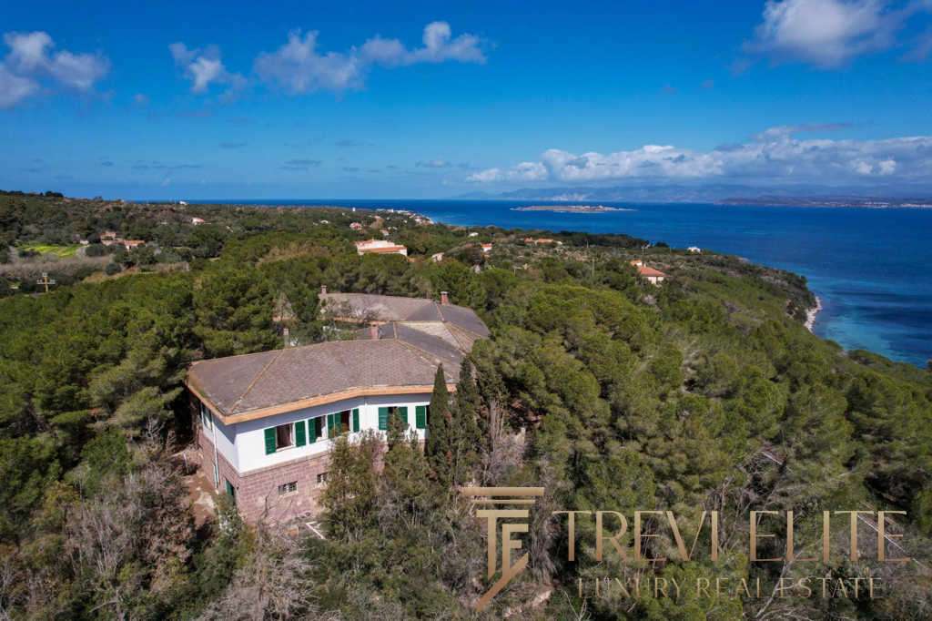 Уединенный особняк на живописном побережье Средиземного моря с видом на океан, окруженный зеленой растительностью, идеально подходит для элитной покупки за границей.