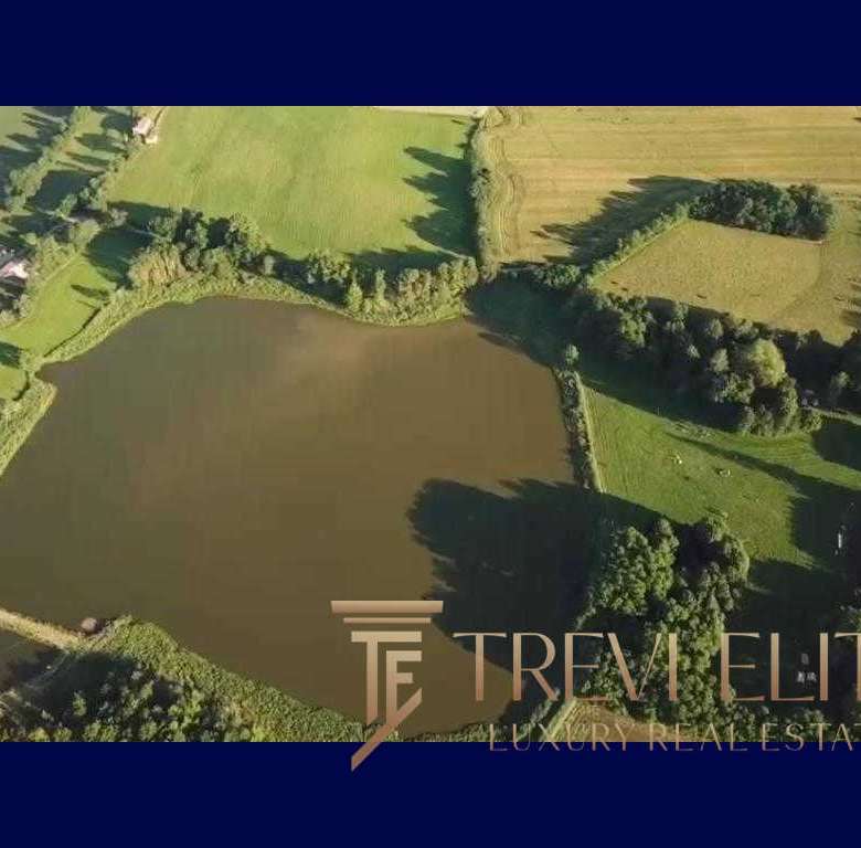 Уникальный воздушный снимок живописного водоема, окруженного зелеными лужайками и деревьями, расположенного на роскошной земельной площади.