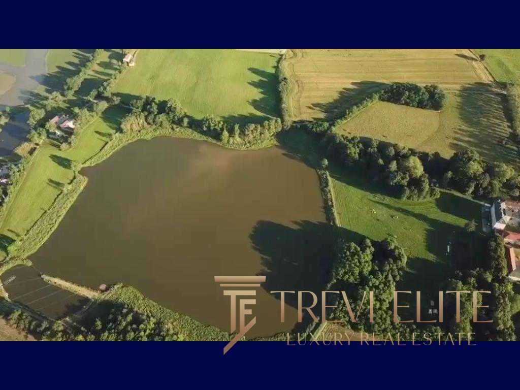 Уникальный воздушный снимок живописного водоема, окруженного зелеными лужайками и деревьями, расположенного на роскошной земельной площади.