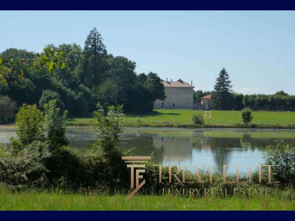 Уединенный загородный дом на берегу озера, окруженный зеленью и природой, идеально подходит для элитной недвижимости с живописными видами и спокойной атмосферой.