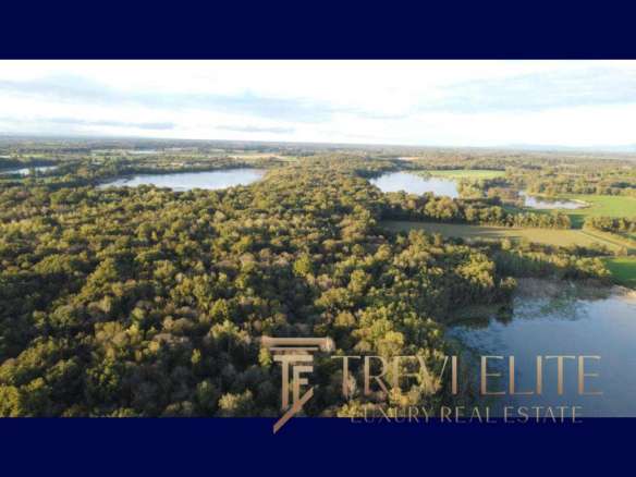 Высококачественный фотоиллюстрационный материал с природным ландшафтом, озерами и густыми лесами, подчеркивающий премиальность и эксклюзивность недвижимости, представленной агентством Треви Элит.