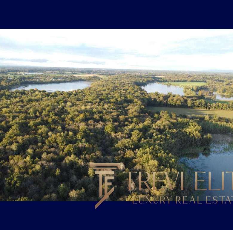 Высококачественный фотоиллюстрационный материал с природным ландшафтом, озерами и густыми лесами, подчеркивающий премиальность и эксклюзивность недвижимости, представленной агентством Треви Элит.