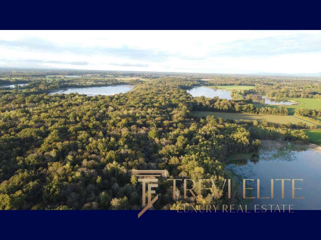 Высококачественный фотоиллюстрационный материал с природным ландшафтом, озерами и густыми лесами, подчеркивающий премиальность и эксклюзивность недвижимости, представленной агентством Треви Элит.