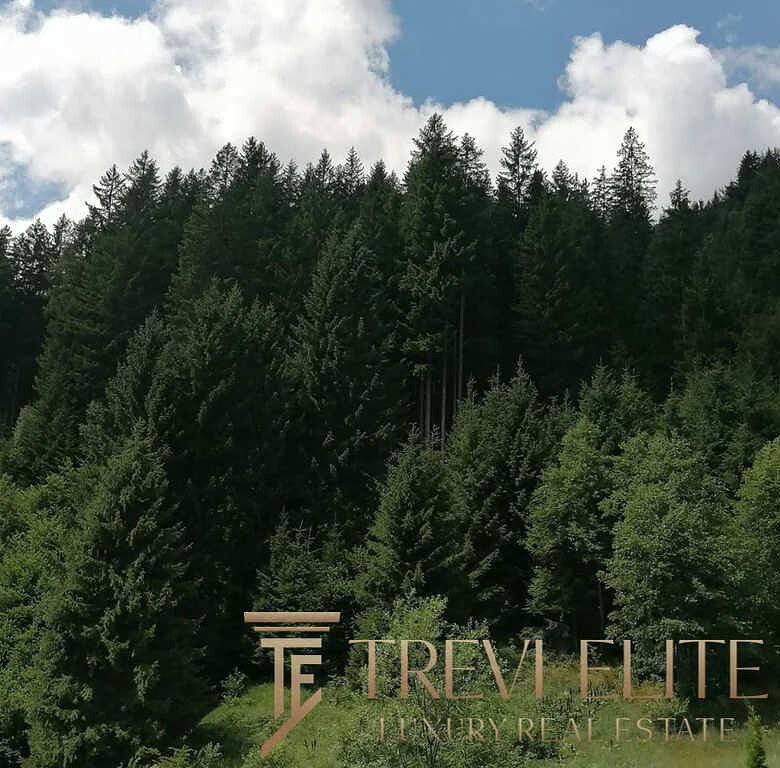 kvartira ryadom s rimskim opernym teatrom4