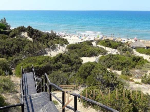 Золотой песчаный пляж с шезлонгами, пляжные зонтики и море, окружённое зеленью и прибрежными террасами, идеальное место для отдыха и наслаждения солнцем.