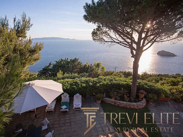 Вид на море с летней террасы, окружённой зеленью и декоративными растениями, под солнечным солнцем и ясным небом, создающий атмосферу роскоши и уединения для эксклюзивных клиентов.