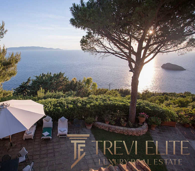 Вид на море с летней террасы, окружённой зеленью и декоративными растениями, под солнечным солнцем и ясным небом, создающий атмосферу роскоши и уединения для эксклюзивных клиентов.