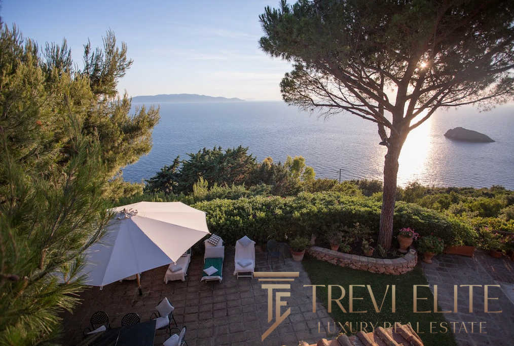 Вид на море с летней террасы, окружённой зеленью и декоративными растениями, под солнечным солнцем и ясным небом, создающий атмосферу роскоши и уединения для эксклюзивных клиентов.