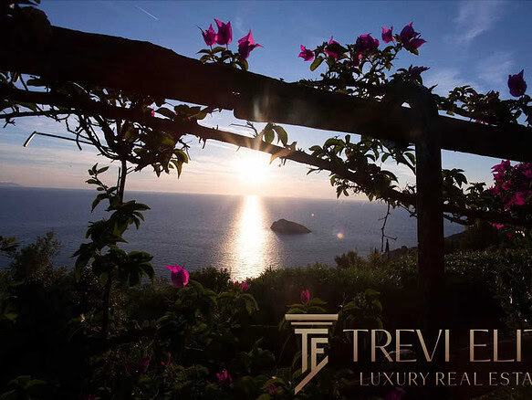 Вид на морской закат через цветущую виноградную лозу с озером и островом на горизонте, создающий романтичную атмосферу и подчеркивающий элитность недвижимости.