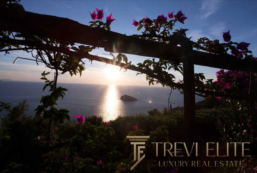 Вид на морской закат через цветущую виноградную лозу с озером и островом на горизонте, создающий романтичную атмосферу и подчеркивающий элитность недвижимости.